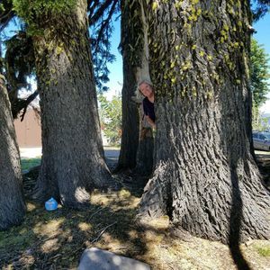 Meet your Posher, Kari